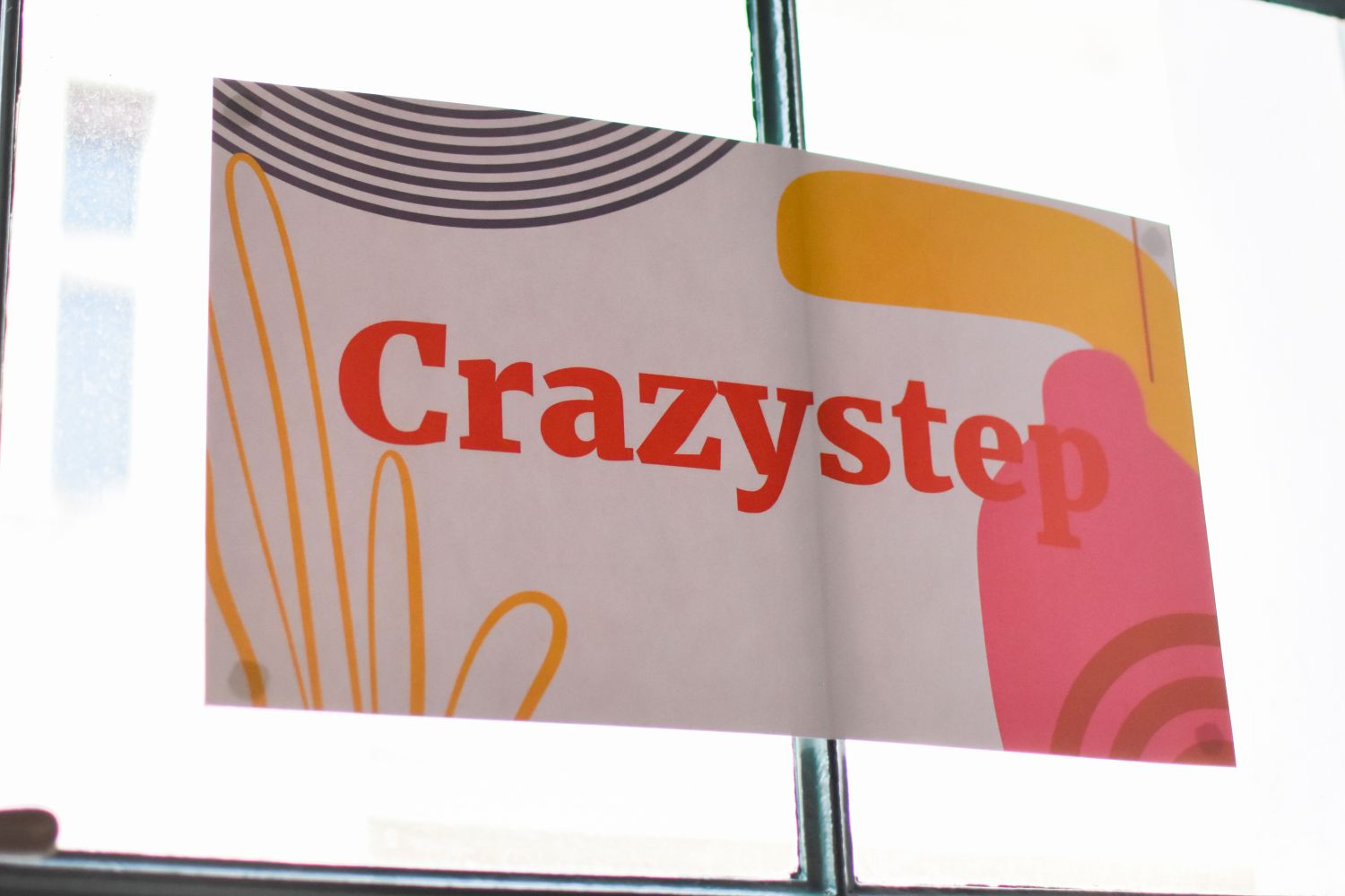sashe_v_trznici_crazystep_dizajnove_ponozky (12)